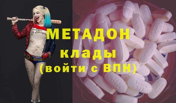 индика Пестово