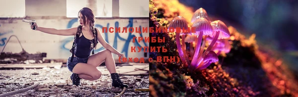 a pvp Пересвет