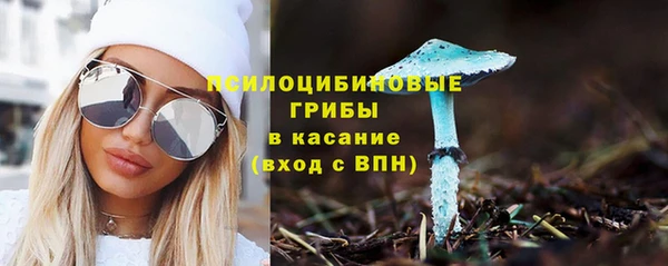 молекула духа Алзамай