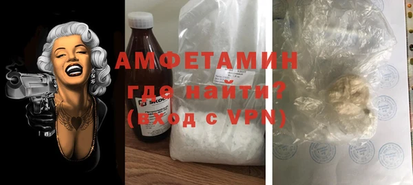 индика Пестово