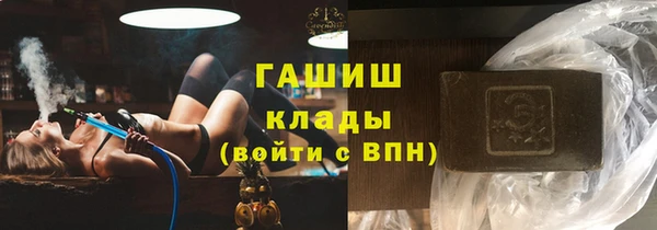 индика Пестово