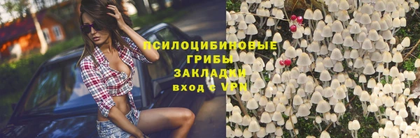 молекула духа Алзамай