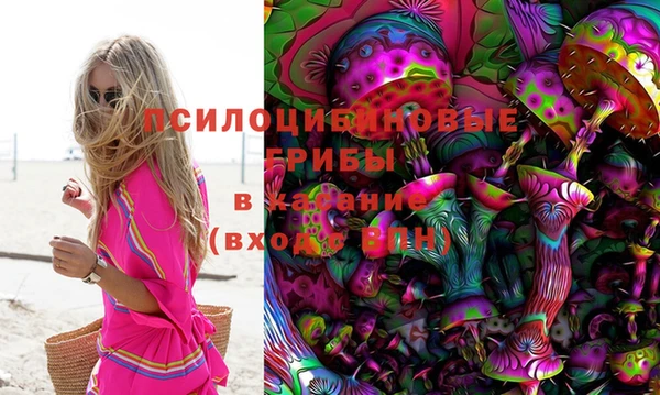 молекула духа Алзамай