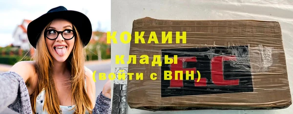 индика Пестово