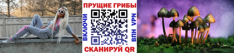 даркнет сайт  Сосновка  Псилоцибиновые грибы ЛСД 