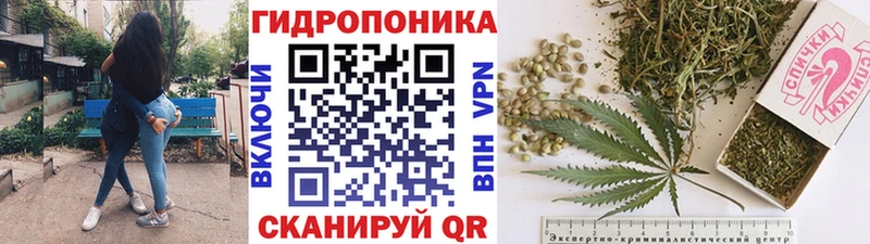 Бошки Шишки семена  наркошоп  Сосновка 